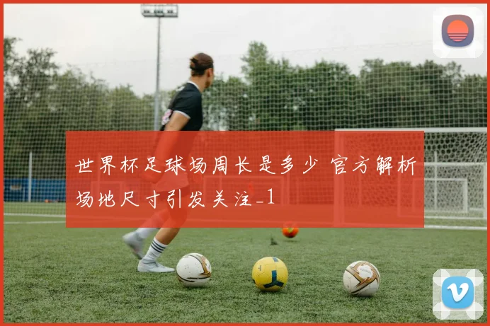 世界杯足球场周长是多少 官方解析场地尺寸引发关注_1
