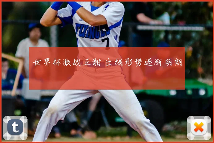 世界杯激战正酣 出线形势逐渐明朗