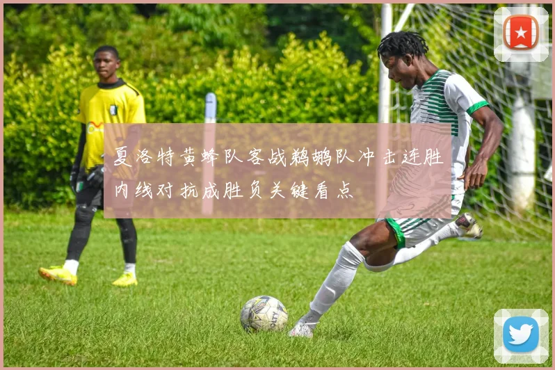 夏洛特黄蜂队客战鹈鹕队冲击连胜内线对抗成胜负关键看点