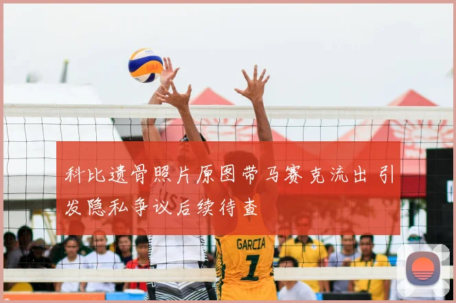 科比遗骨照片原图带马赛克流出 引发隐私争议后续待查