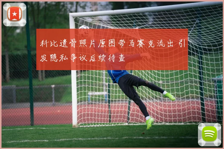 科比遗骨照片原图带马赛克流出 引发隐私争议后续待查