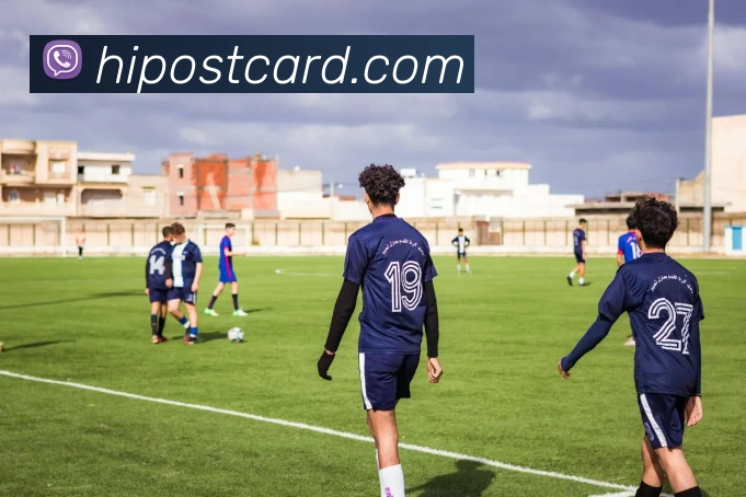 世界杯官网登录app平台生态图