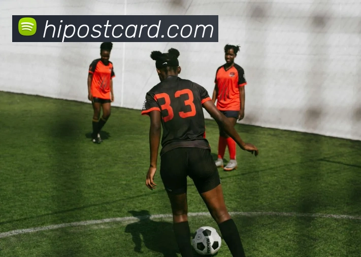 世界杯官网登录appAPP 封面图